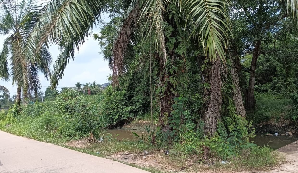 DIJUAL TANAH JALAN SUKASARI SOEKARNO HATTA PALEMBANG (9)