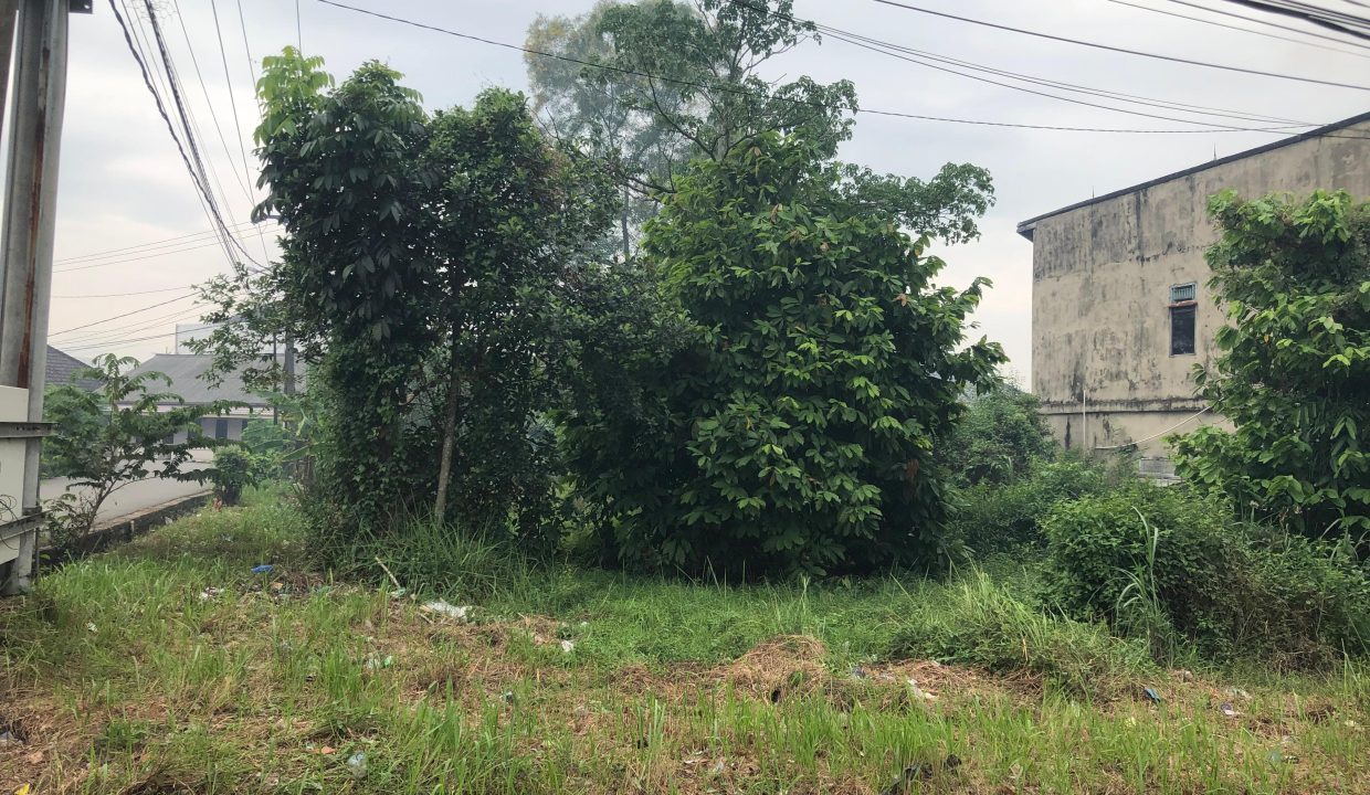 DIJUAL TANAH KEBUN BUNGA PALEMBANG (1)