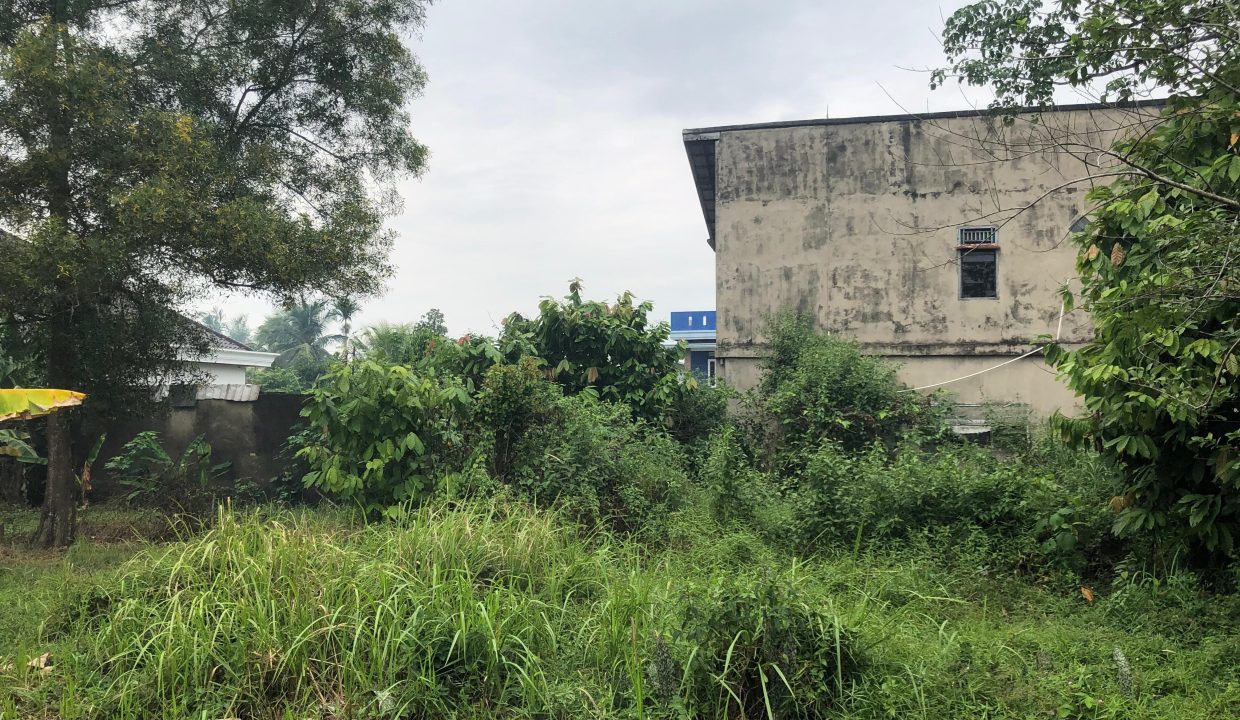 DIJUAL TANAH KEBUN BUNGA PALEMBANG (2)