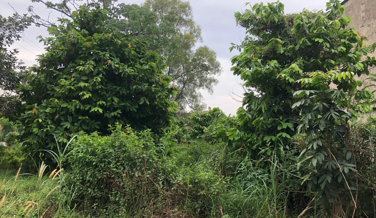 DIJUAL TANAH KEBUN BUNGA PALEMBANG (3)