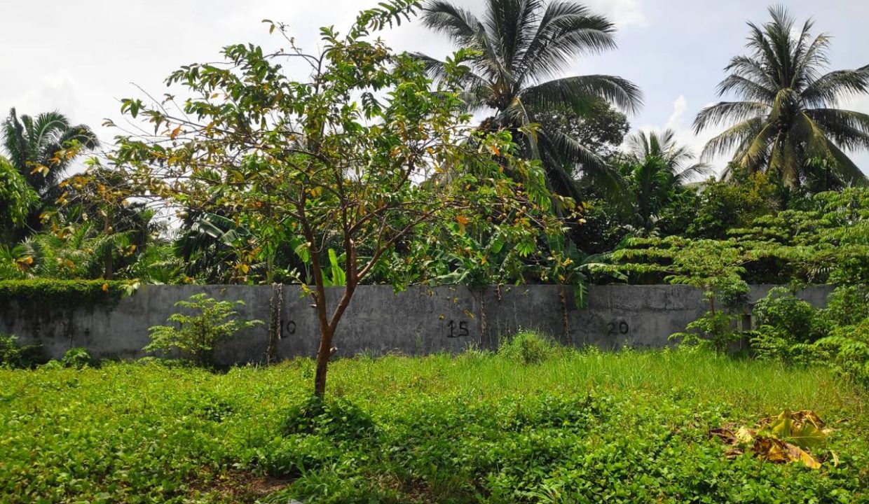 DIJUAL TANAH PINGGIR JALAN RAYA SEKAYU MUSI BANYUASIN (16)