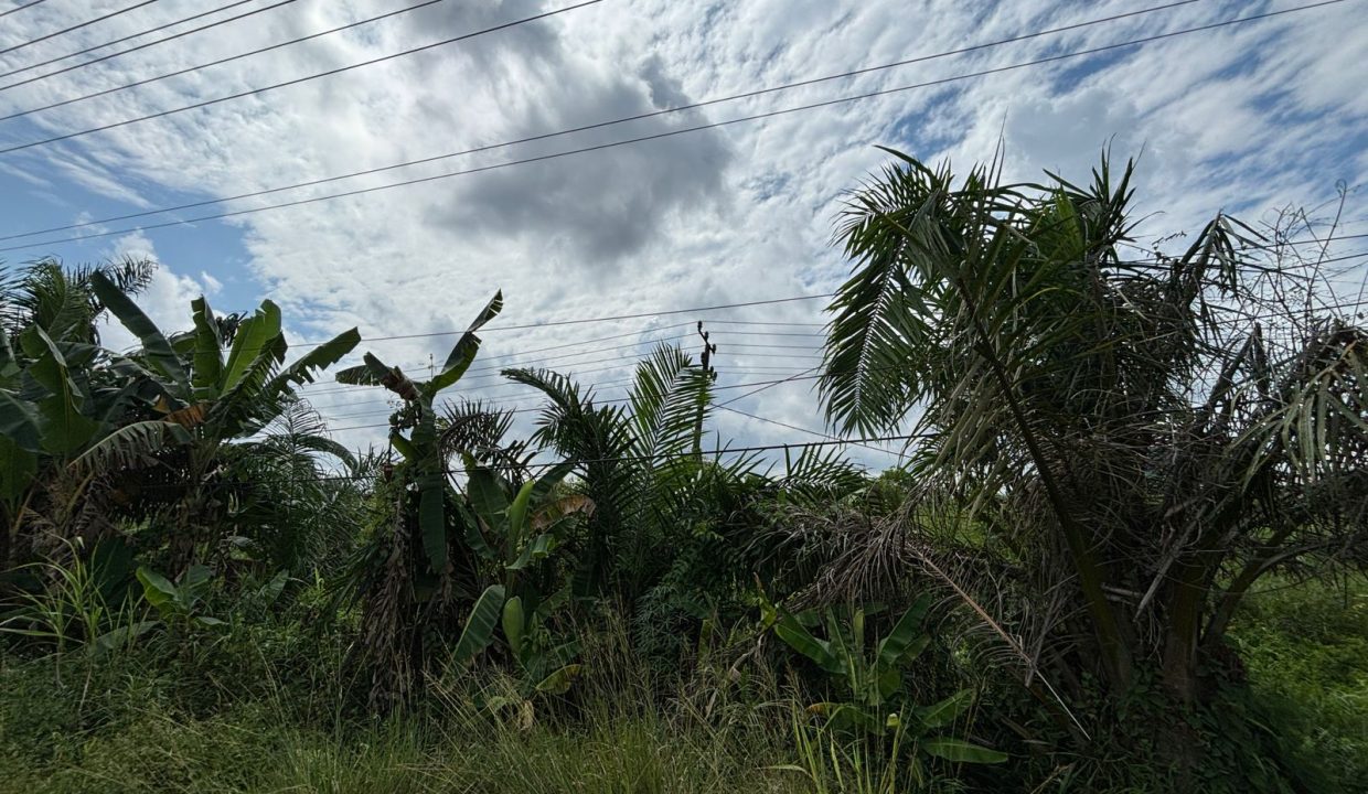 DIJUAL TANAH TANJUNG API API BANYUASIN (7)
