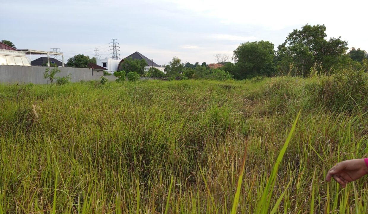 DIJUAL TANAH TANJUNG BARANGAN PALEMBANG (2)
