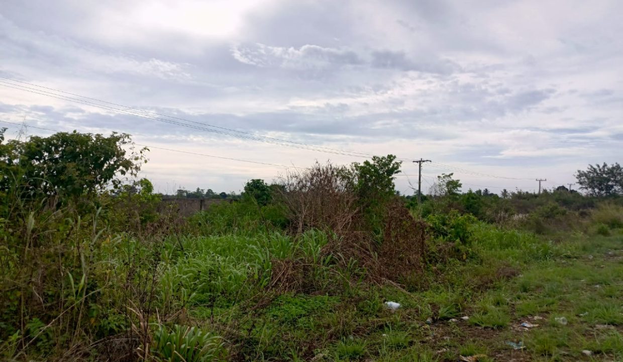 DIJUAL TANAH DESA PEDU OKI (4)