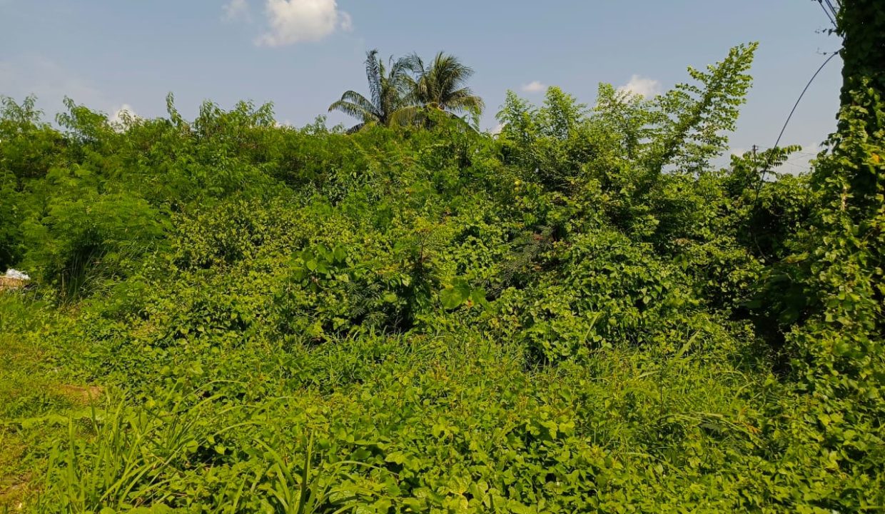 DIJUAL TANAH SEDERETAN PINDANG UMAK KM 10 PALEMBANG (2)