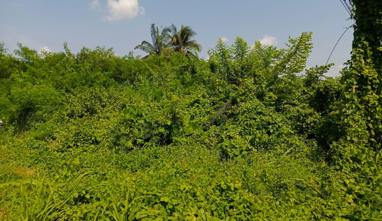 DIJUAL TANAH SEDERETAN PINDANG UMAK KM 10 PALEMBANG (5)