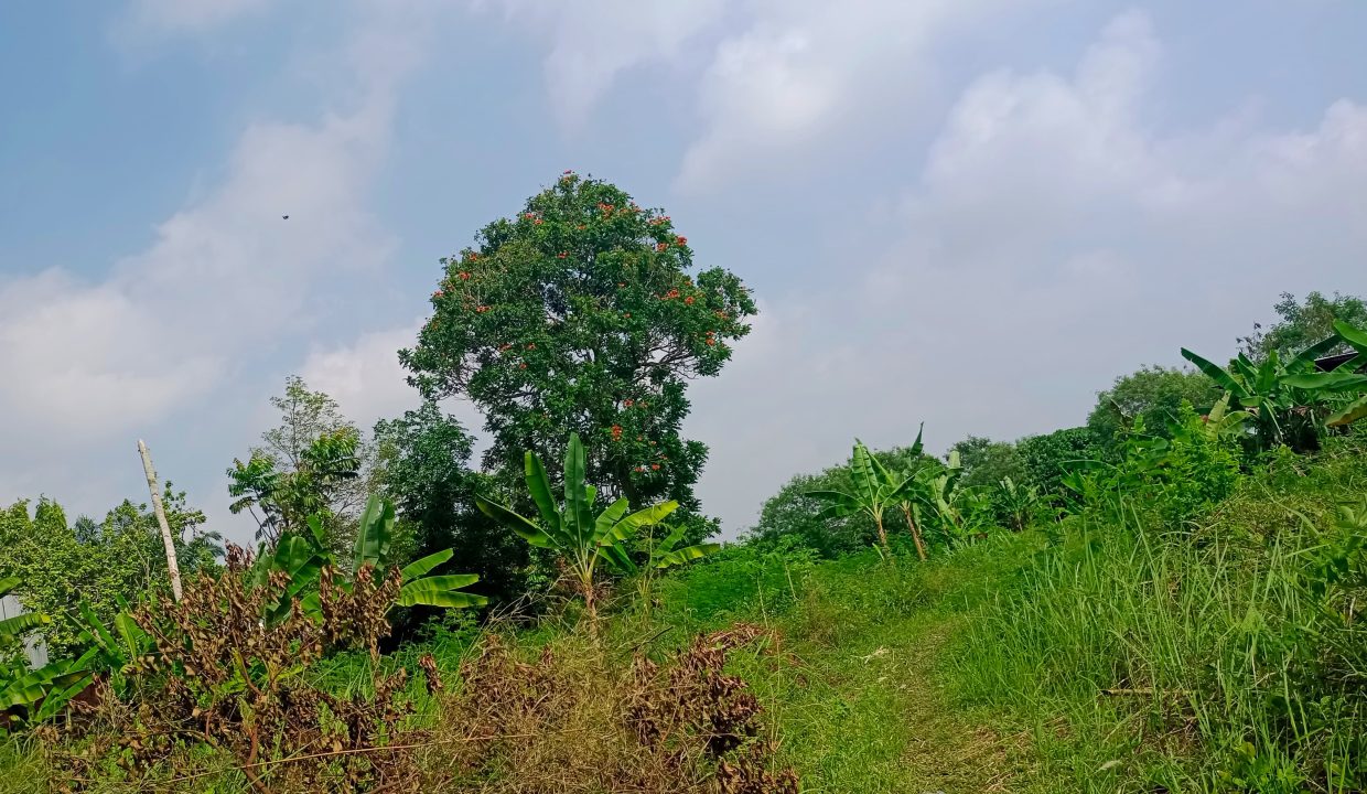 DIJUAL TANAH SOAK SIMPUR PALEMBANG (2)