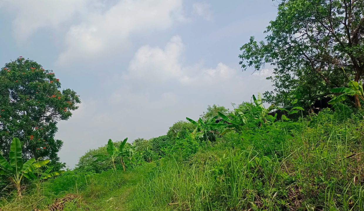 DIJUAL TANAH SOAK SIMPUR PALEMBANG (3)