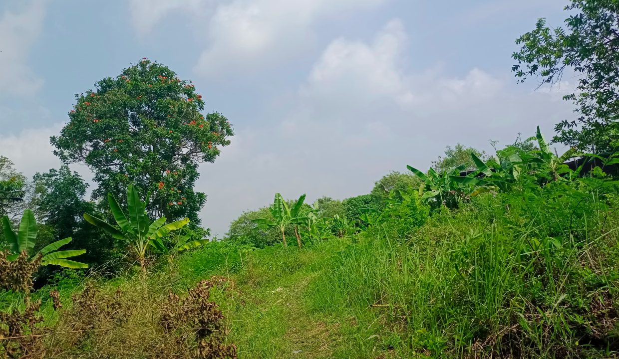 DIJUAL TANAH SOAK SIMPUR PALEMBANG (5)