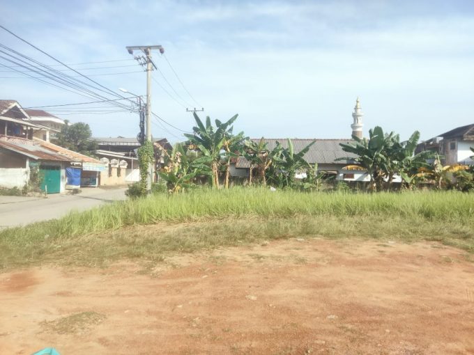 DIJUAL TANAH LUAS 1200 M2 JALAN JEPANG ALANG ALANG LEBAR PALEMBANG