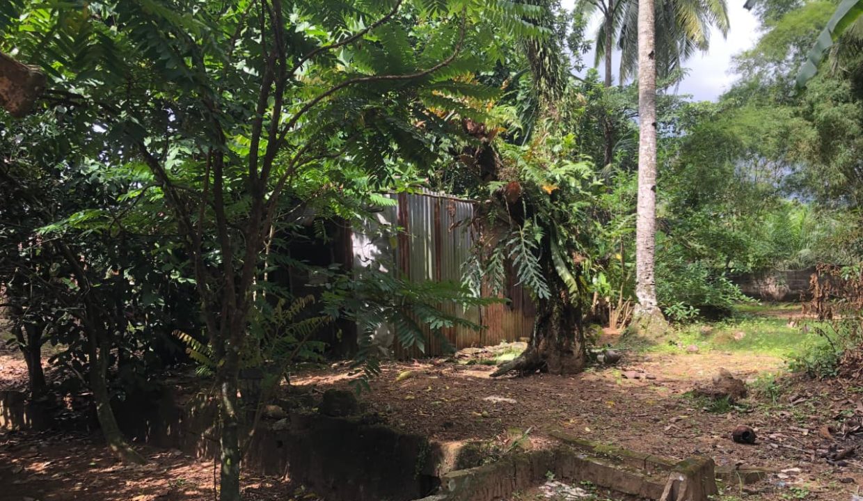 DIJUAL TANAH SUKAMORO PALEMBANG (6)