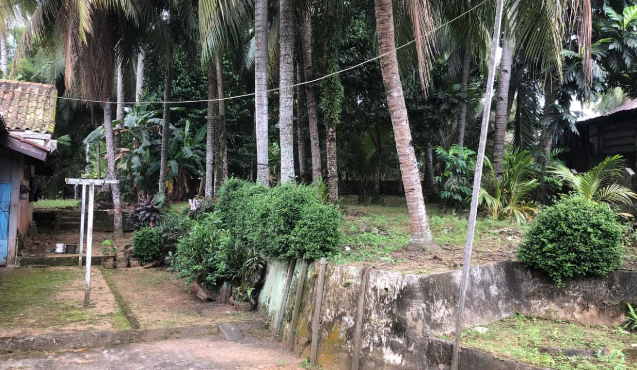 DIJUAL TANAH SUKAMORO PALEMBANG (7)