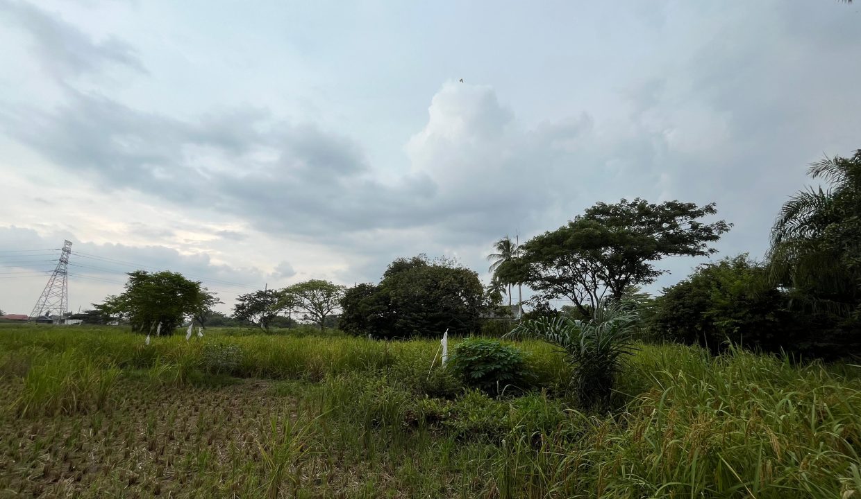DIJUAL TANAH TERMINAL KARYA JAYA PALEMBANG (9)