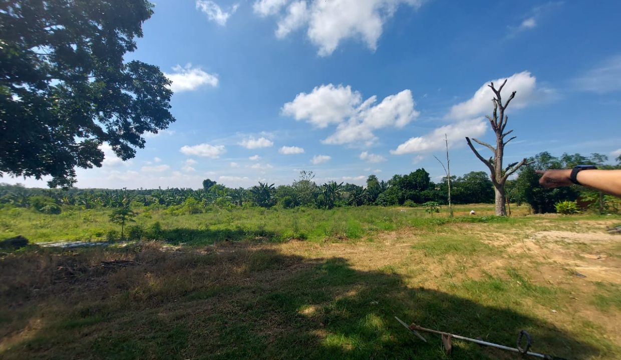 DIJUAL TANAH 6 HEKTAR SUKAMORO KM 18 BANYUASIN (3)