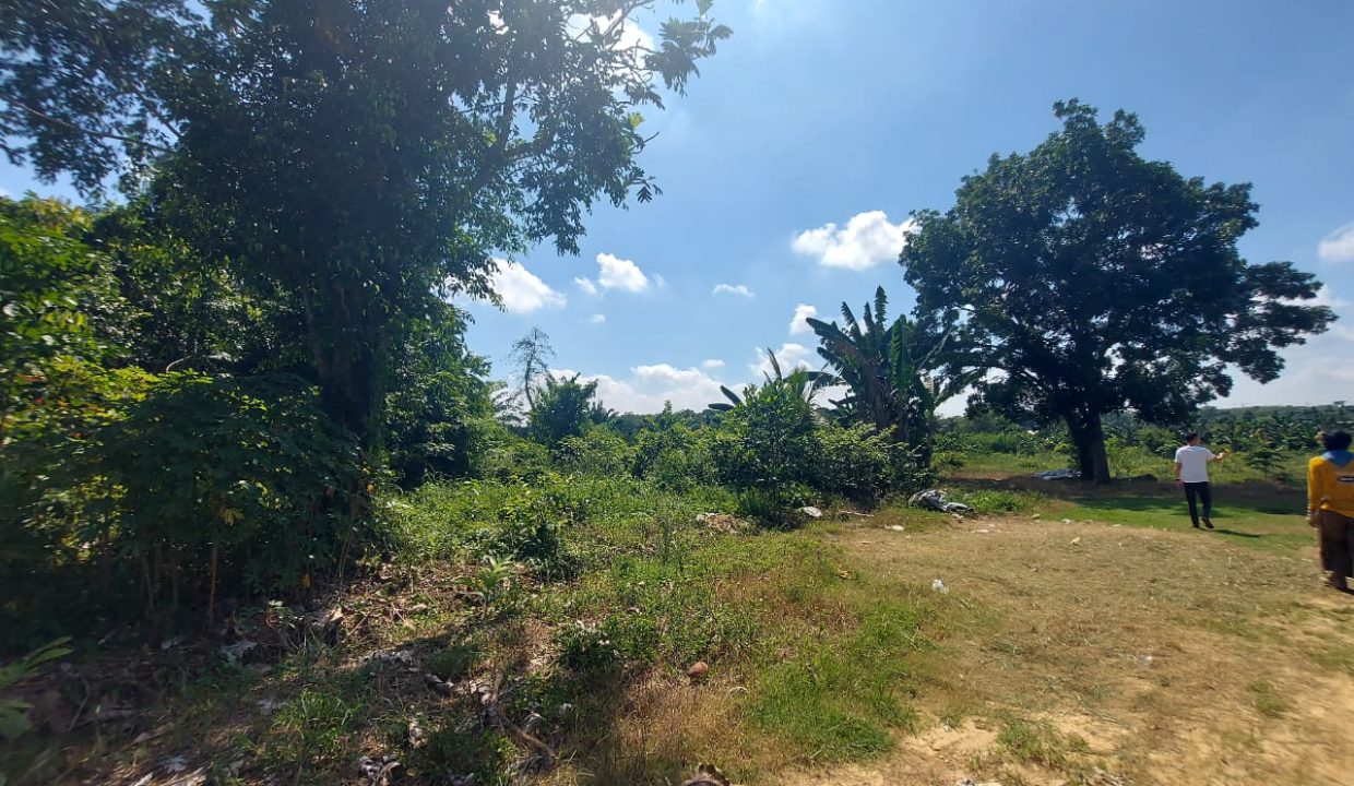 DIJUAL TANAH 6 HEKTAR SUKAMORO KM 18 BANYUASIN (5)