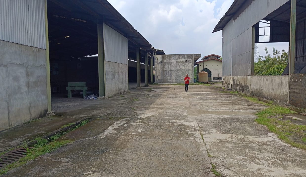 DIJUAL TANAH EX PABRIK LUBUK LANCANG KM 52 PALEMBANG JAMBI (10)