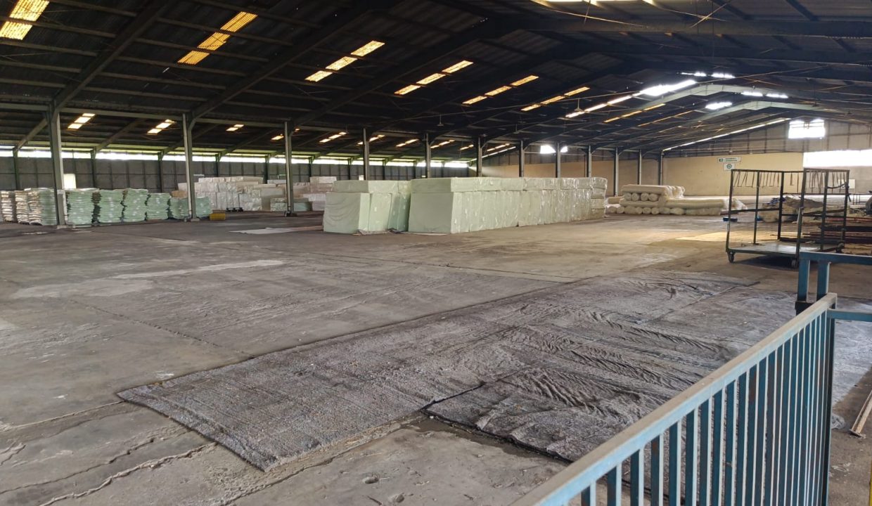 DIJUAL TANAH EX PABRIK LUBUK LANCANG KM 52 PALEMBANG JAMBI (12)