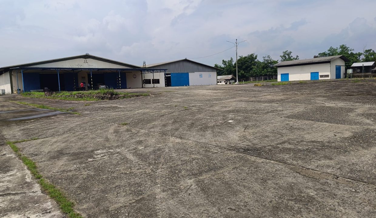 DIJUAL TANAH EX PABRIK LUBUK LANCANG KM 52 PALEMBANG JAMBI (3)