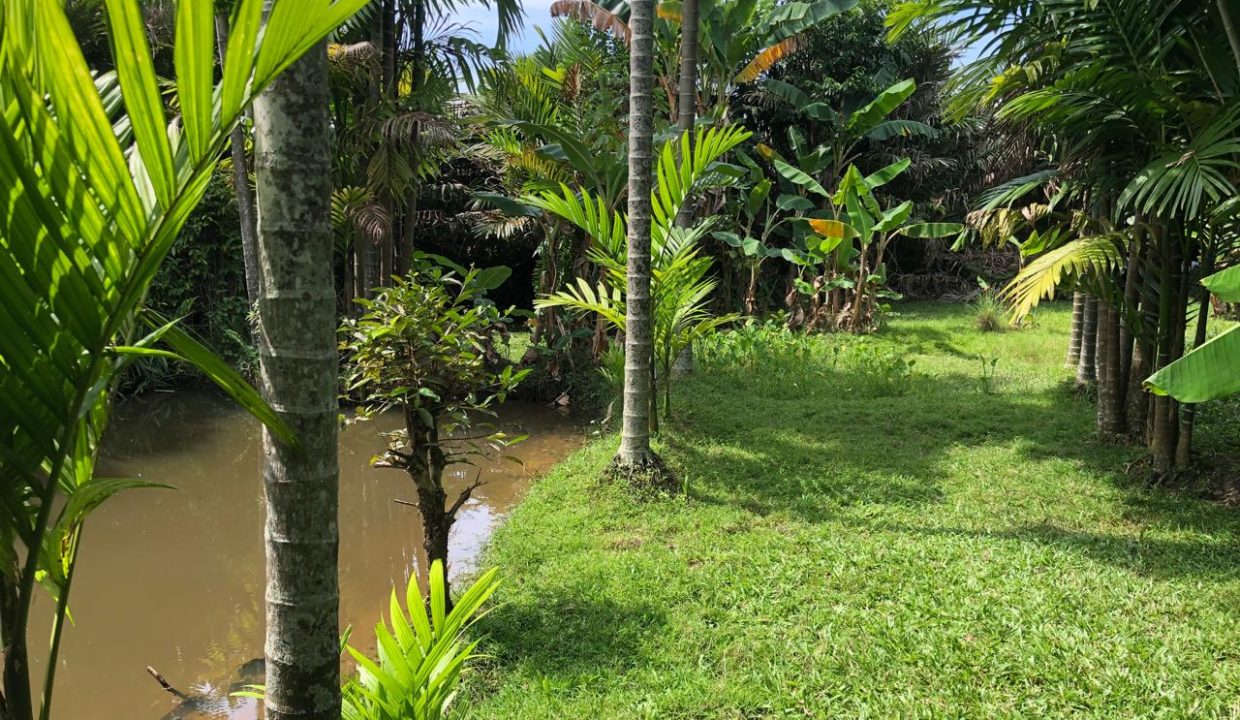 DIJUAL TANAH JALAN RW MONGINSIDI KALIDONI PALEMBANG (7)