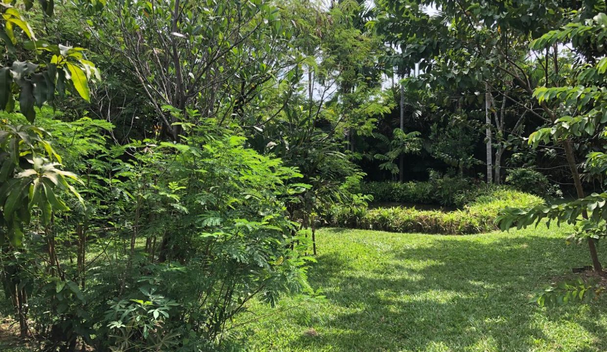 DIJUAL TANAH JALAN RW MONGINSIDI KALIDONI PALEMBANG (9)