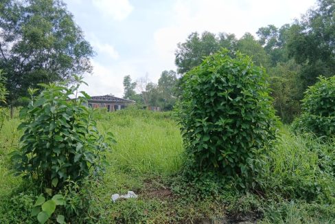 DIJUAL TANAH KARYA BARU PALEMBANG