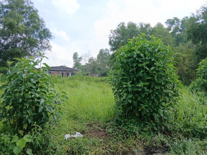 DIJUAL TANAH JALAN PAGAR DEWA KARYA BARU ALANG ALANG LEBAR PALEMBANG