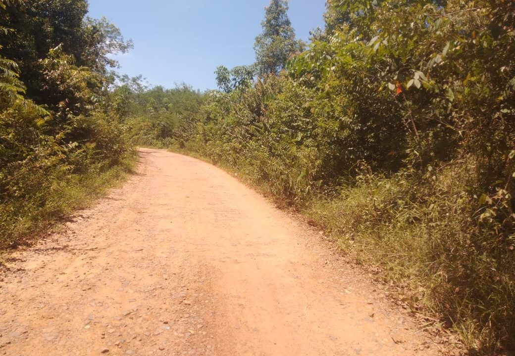 DIJUAL TANAH RANTAU BAYUR PALEMBANG (6)