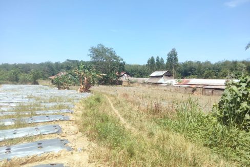 DIJUAL TANAH TALANG BULUH PALEMBANG