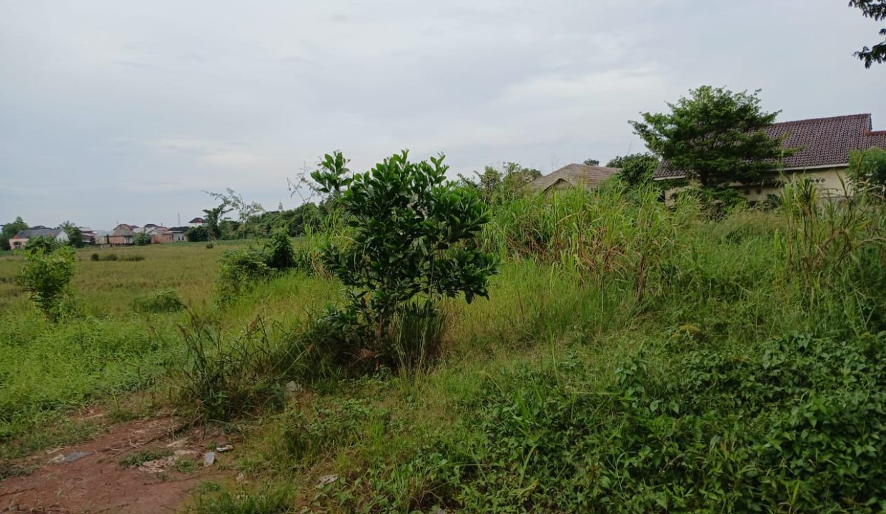 DIJUAL TANAH JALAN PANCA USAHA 5 ULU PALEMBANG (2)