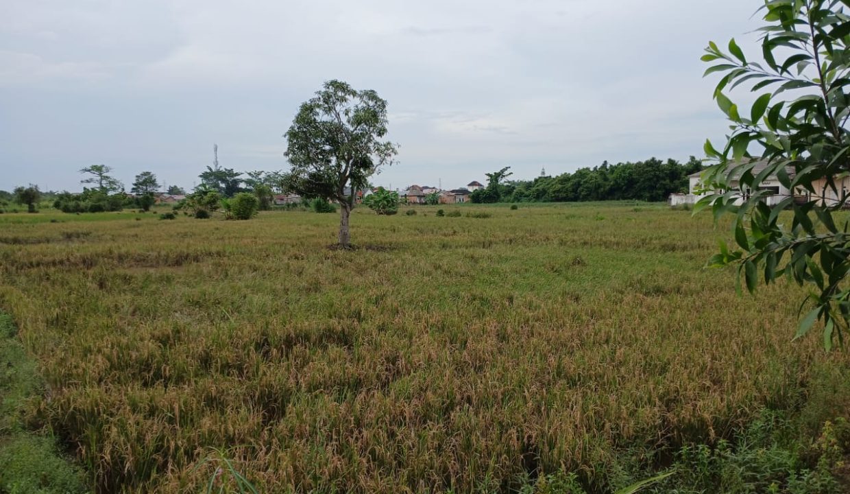 DIJUAL TANAH JALAN PANCA USAHA 5 ULU PALEMBANG (9)