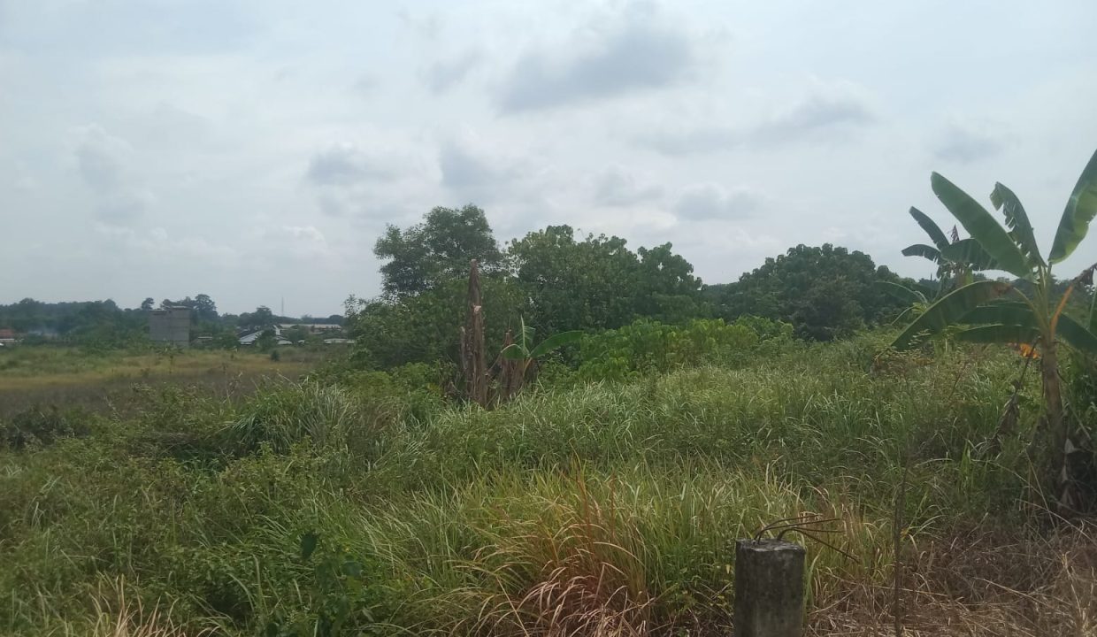DIJUAL TANAH JALAN PMD TALANG KELAPA PALEMBANG (1)
