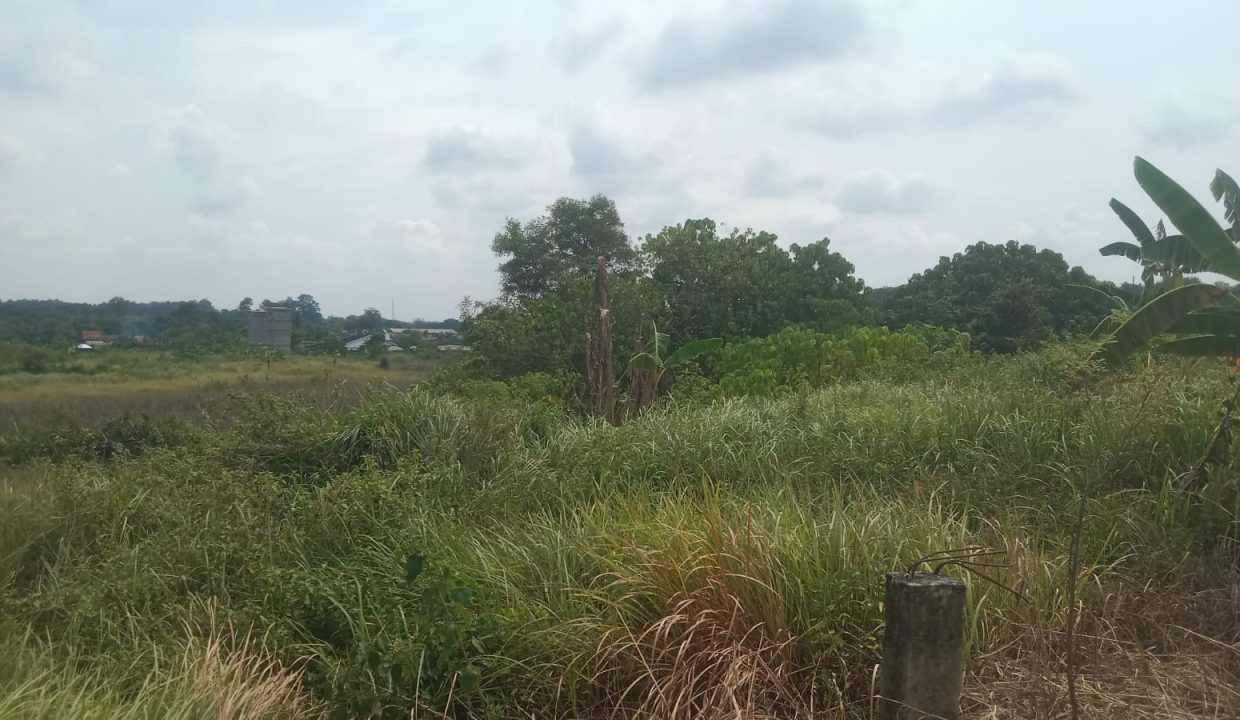 DIJUAL TANAH JALAN PMD TALANG KELAPA PALEMBANG (2)
