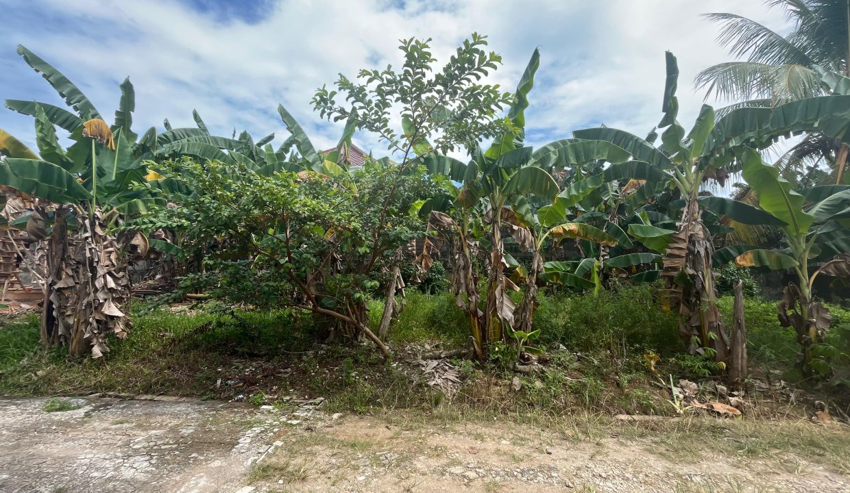 DIJUAL TANAH MACAN KUMBANG PALEMBANG (3)