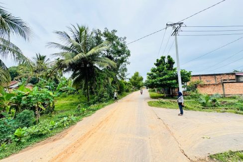 DIJUAL TANAH MURAH LEBONG PERMAI ALANG ALANG LEBAR PALEMBANG (0,5)