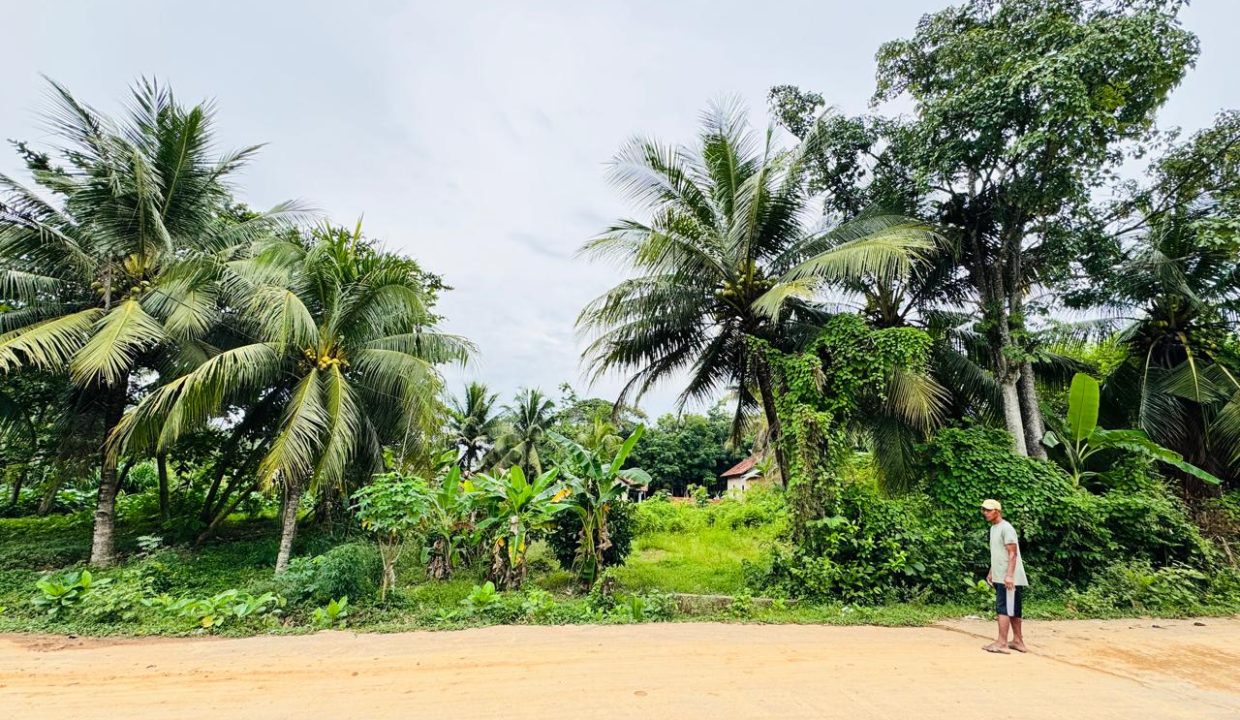 DIJUAL TANAH MURAH LEBONG PERMAI ALANG ALANG LEBAR PALEMBANG (2)