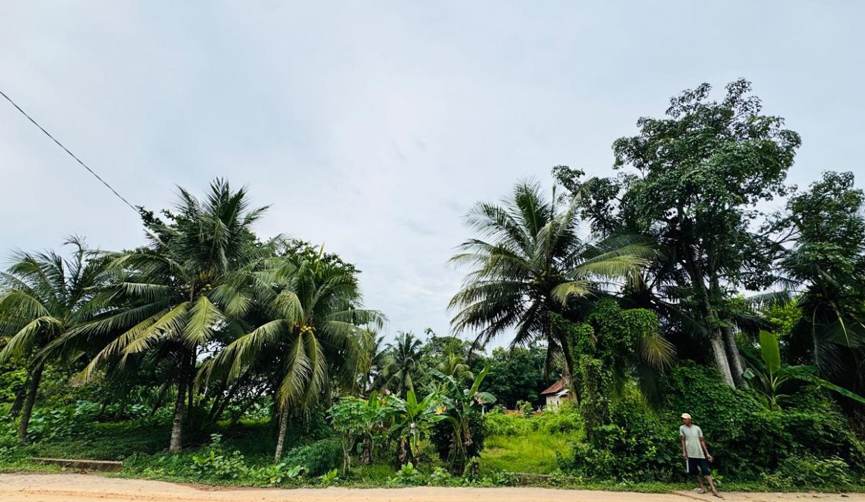 DIJUAL TANAH MURAH LEBONG PERMAI ALANG ALANG LEBAR PALEMBANG (3)