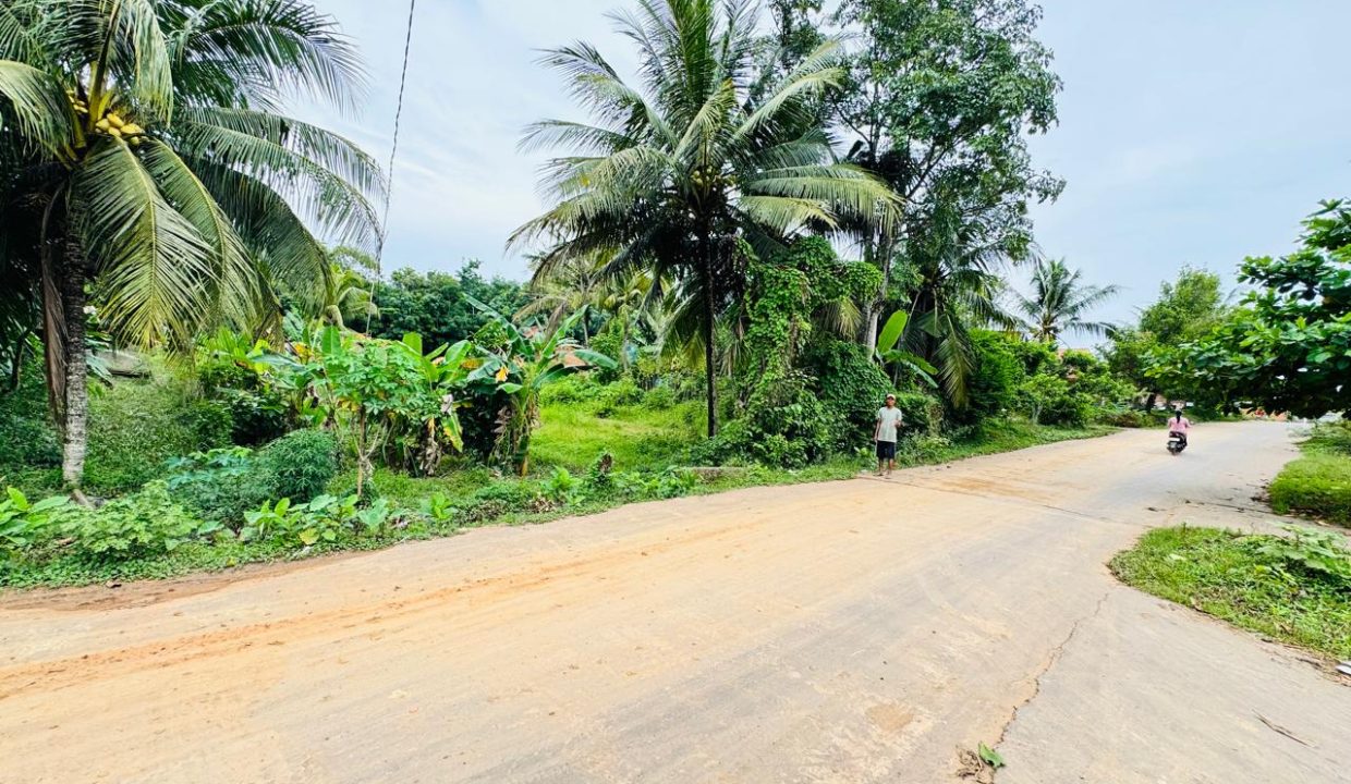 DIJUAL TANAH MURAH LEBONG PERMAI ALANG ALANG LEBAR PALEMBANG (4)