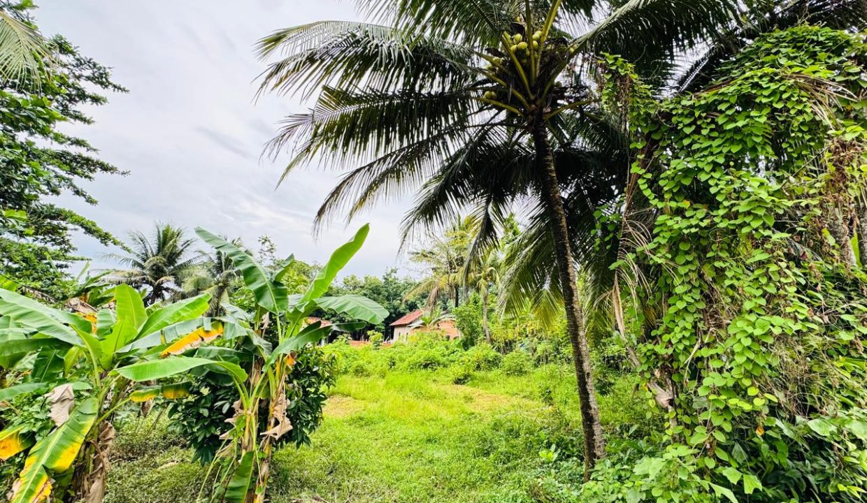 DIJUAL TANAH MURAH LEBONG PERMAI ALANG ALANG LEBAR PALEMBANG (51)