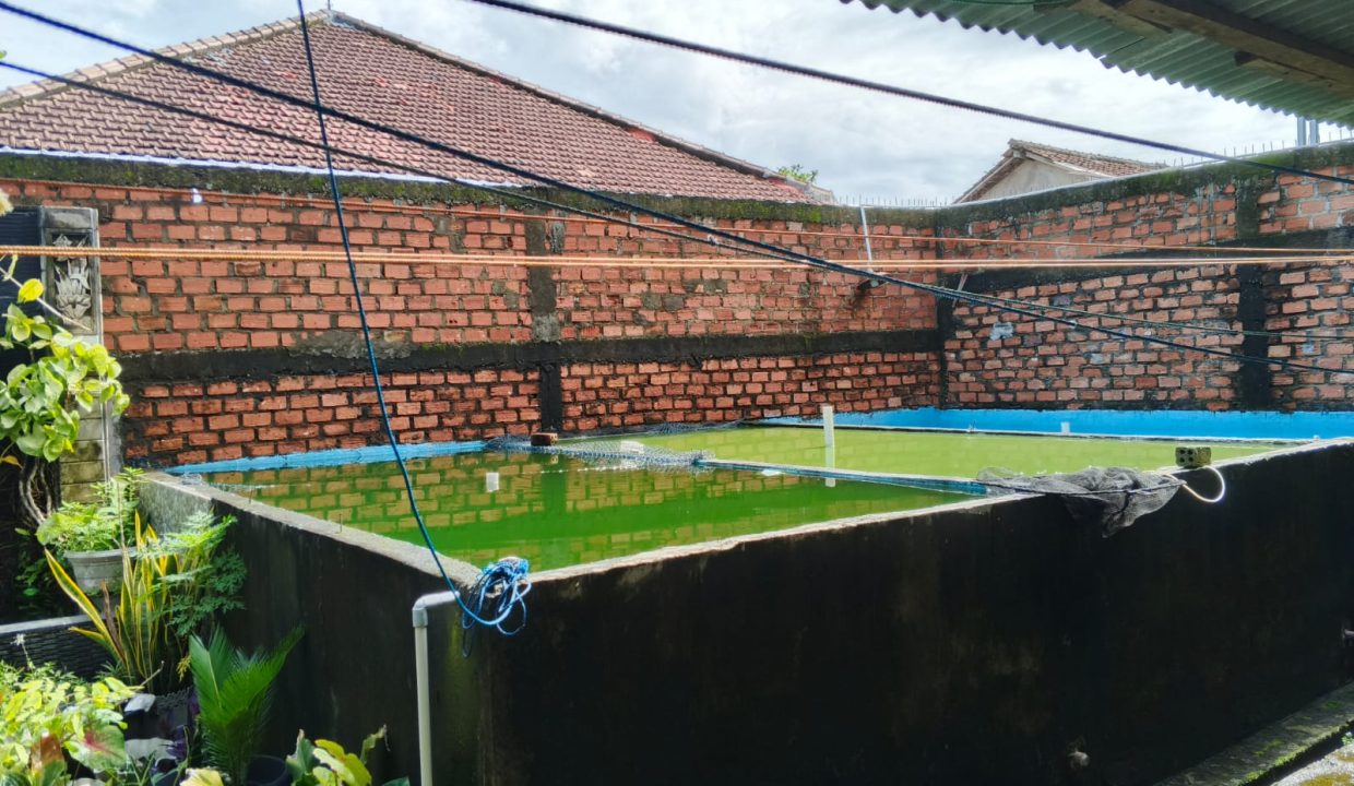 DIJUAL RUMAH LEBAK HARAPAN JALAN SWADAYA PAKJO UJUNG PALEMBANG (7)