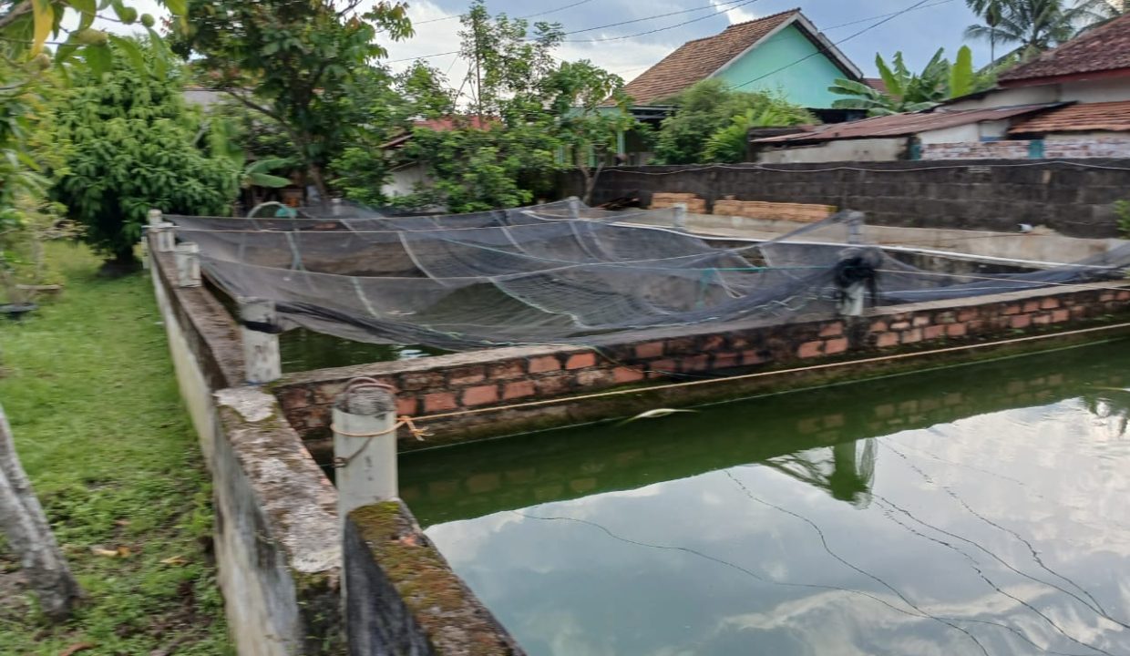 DIJUAL TANAH BONUS RUMAH HALAMAN LUAS KM 14 SRIGADING BANYUASING (22)