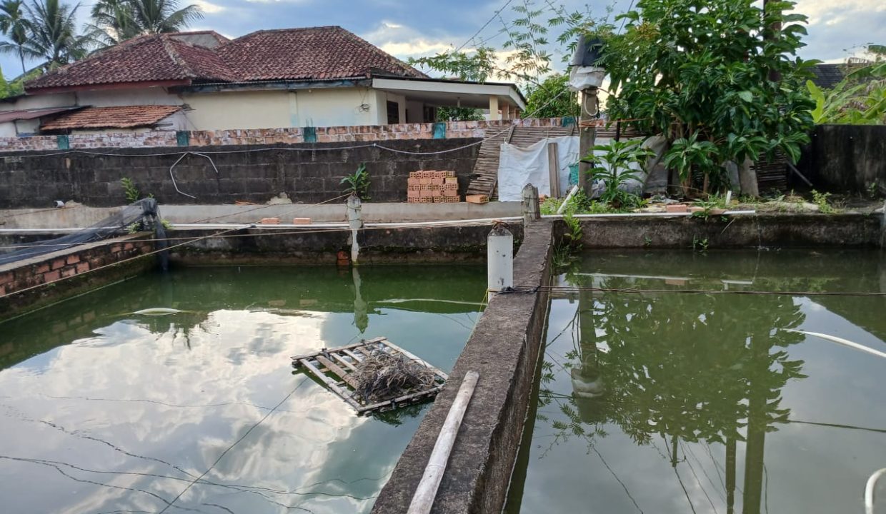 DIJUAL TANAH BONUS RUMAH HALAMAN LUAS KM 14 SRIGADING BANYUASING (23)