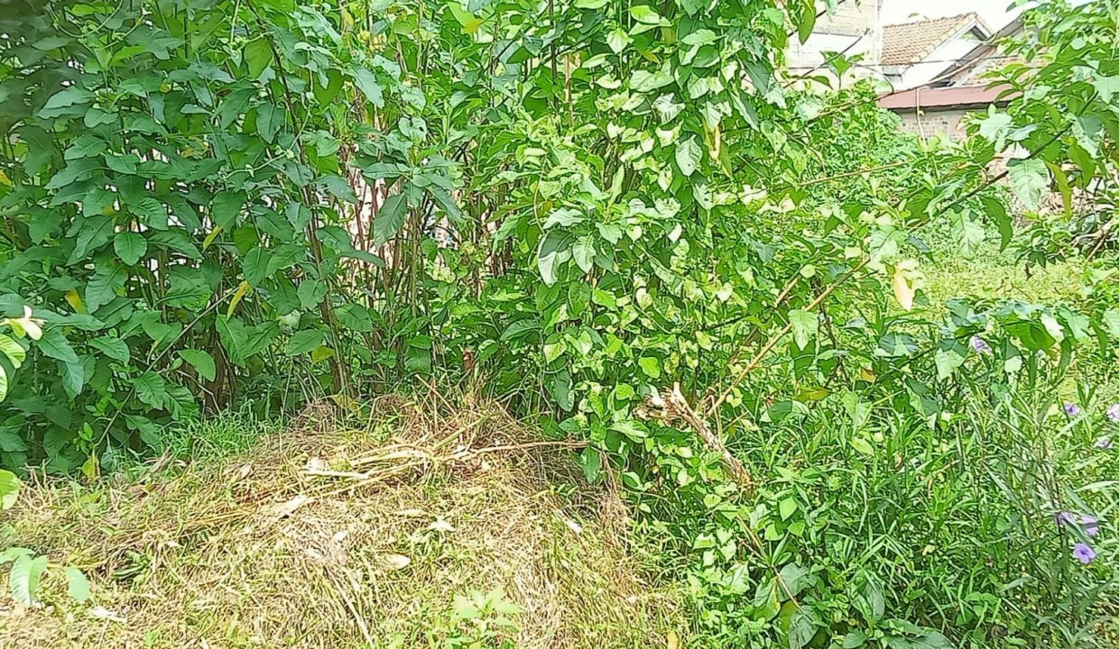 DIJUAL TANAH DEKAT BANDARA SMB 2 PALEMBANG (0,4)