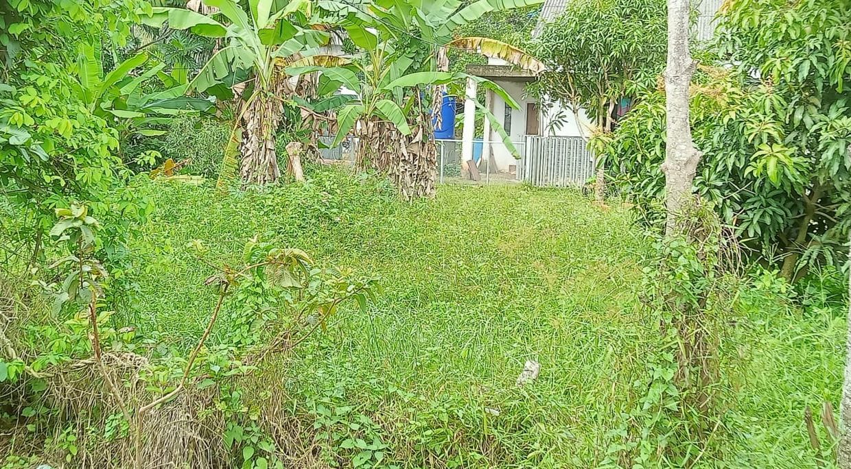 DIJUAL TANAH DEKAT BANDARA SMB 2 PALEMBANG (1)