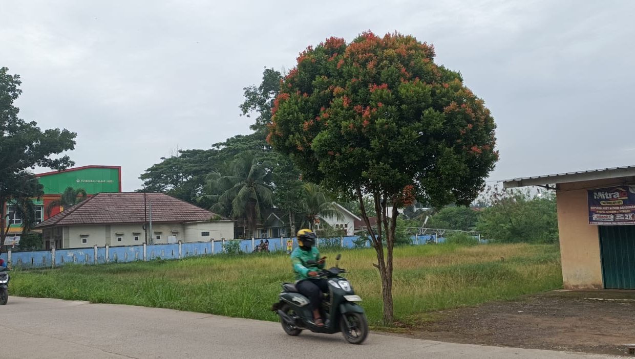 DIJUAL TANAH DEKAT KANTOR LURAH TALANG JAMBE PALEMBANG (5)