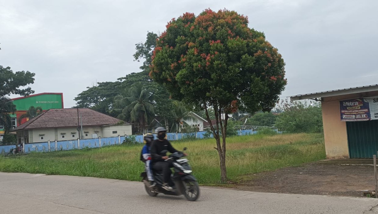 DIJUAL TANAH DEKAT KANTOR LURAH TALANG JAMBE PALEMBANG (7)