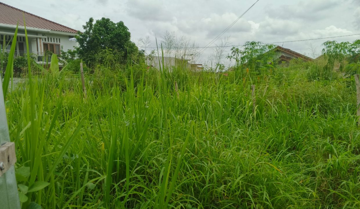 DIJUAL TANAH JALAN LINTAS BARAT SUKABANGUN II PALEMBANG (7)