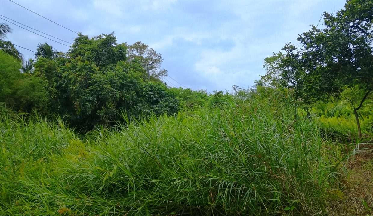 DIJUAL TANAH TALANG KERAMAT BANYUASIN (7)