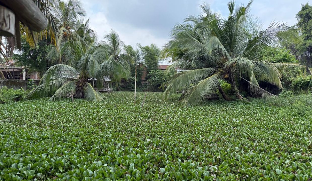DIJUAL TANAH BONUS RUMAH JALAN PARAMESWARA PALEMBANG (1)