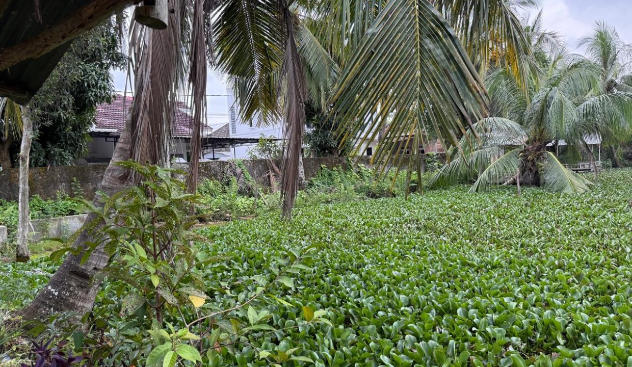 DIJUAL TANAH BONUS RUMAH JALAN PARAMESWARA PALEMBANG (2)