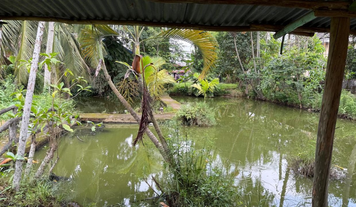 DIJUAL TANAH BONUS RUMAH JALAN PARAMESWARA PALEMBANG (4)